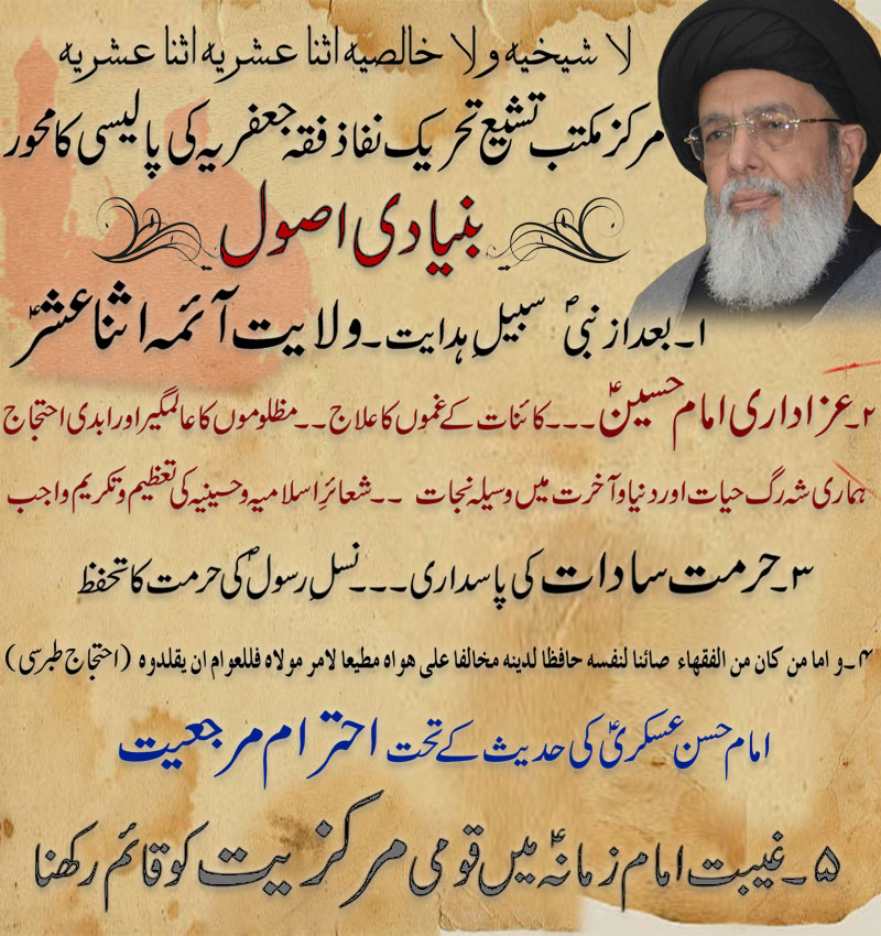 تحریک نفاذفقہ جعفریہ کی پالیسی کا محور بنیادی اصول