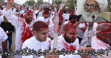 غم حسین ؑ میں خون بہانے کی تائید میں آیۃ اللہ بشیر نجفی کا تزہ بیان جاری