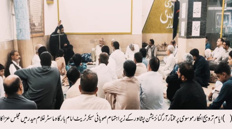 خطوط موسوی پر گامزن رہتے ہوئے آمدہ محرم الحرام مرکز تشیع سے جاری ہونے والے ضابطۂ عزاداری پر بھرپور عملدرآمد کیا جائے گا۔