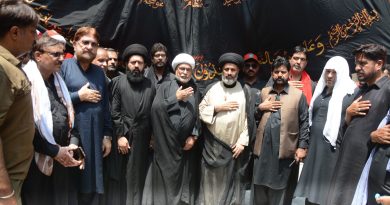 چہلم شہدائے کربلا اربعین حسینی؛ اسیران کربلا کی فتح کی یادگار دنیا بھر میں عقیدت و احترام سے منائی گئی